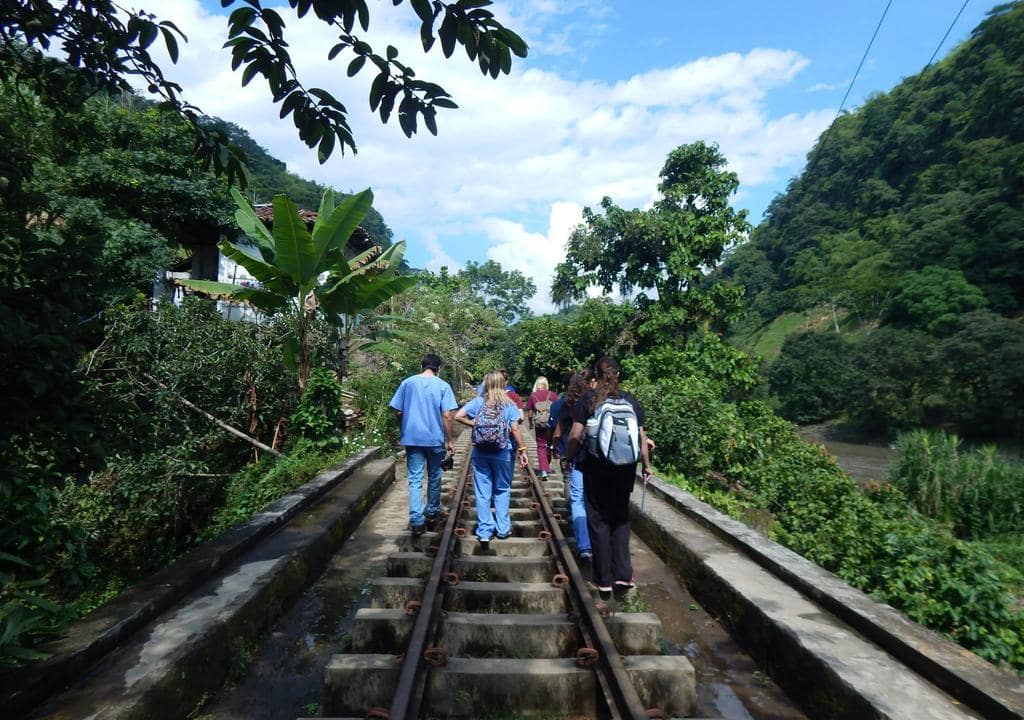 Volunteer to help animal conservation in Colombia