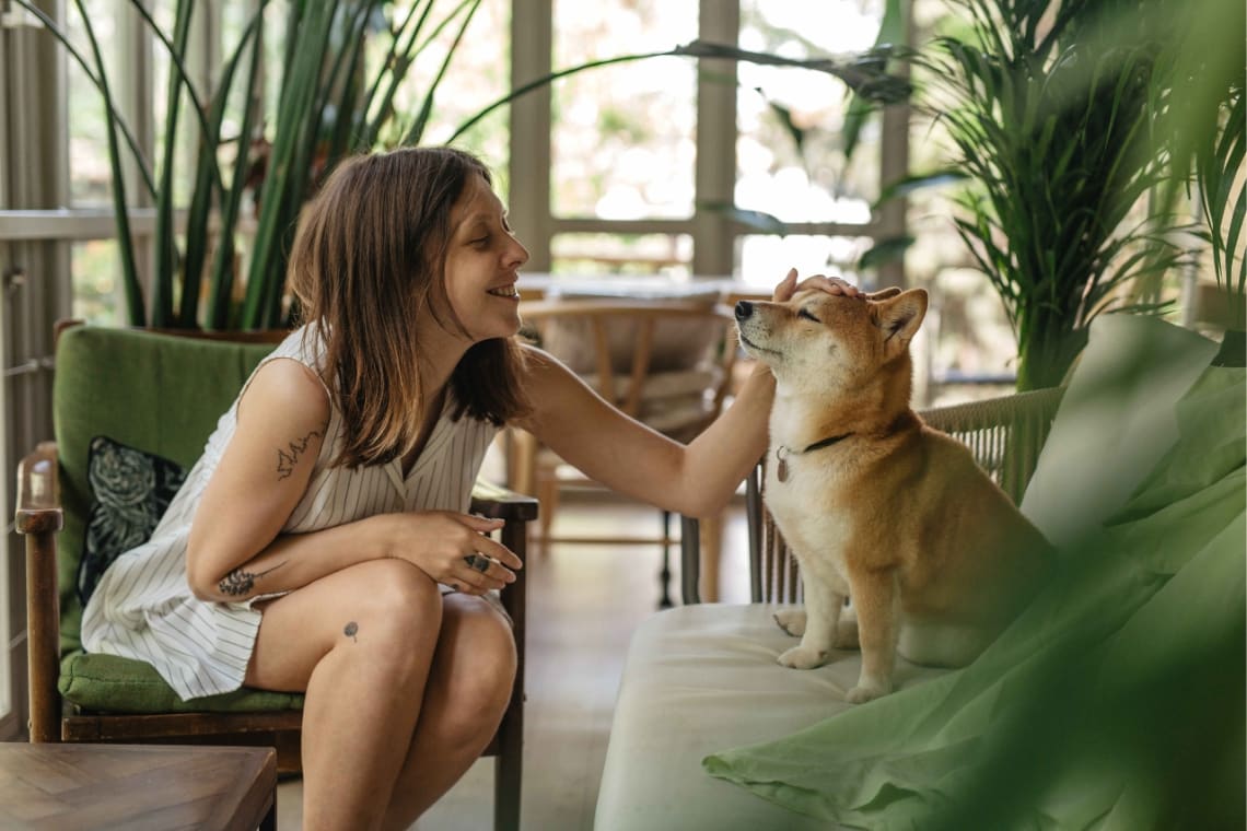 Cuidadora de casas acariciando a un perro