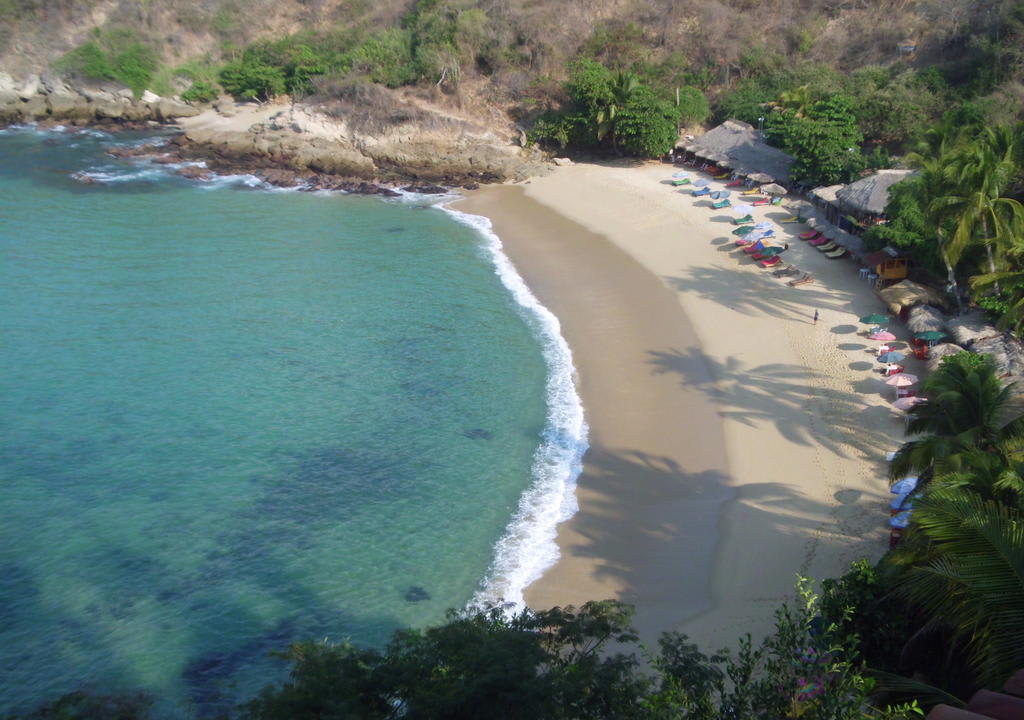 Use your handyman skills in Puerto Escondido, Mexico