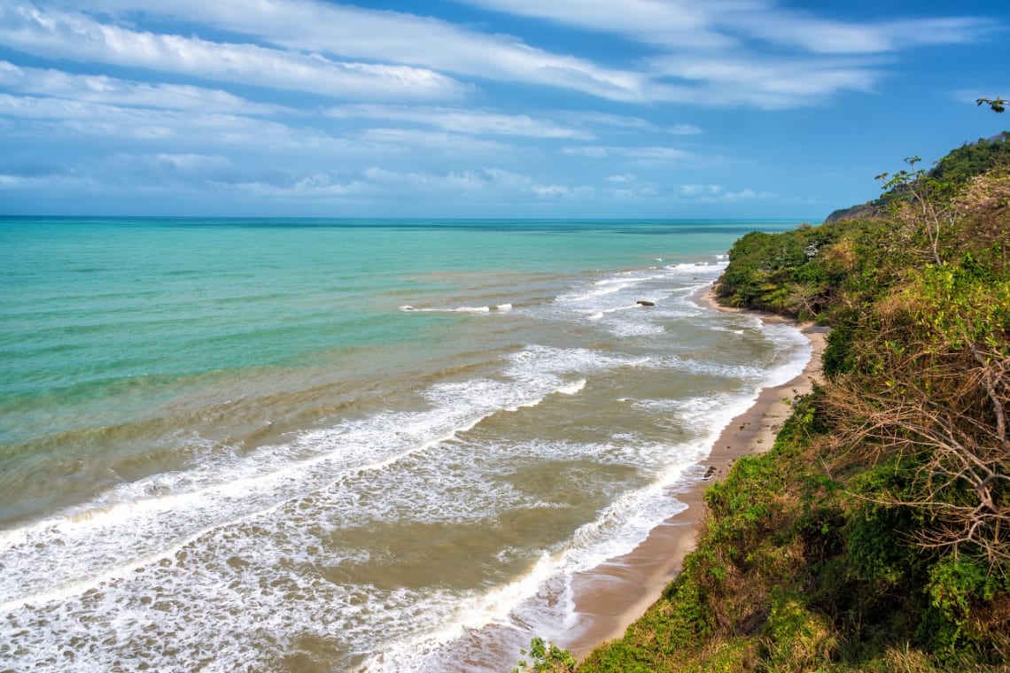 Vista desde lo alto de playa de Palomino con selva