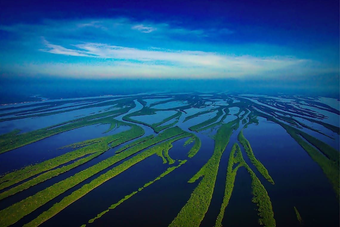 Islas del Archipiélago Anavilhanas vistas desde el aire. Amazonas, Brasil