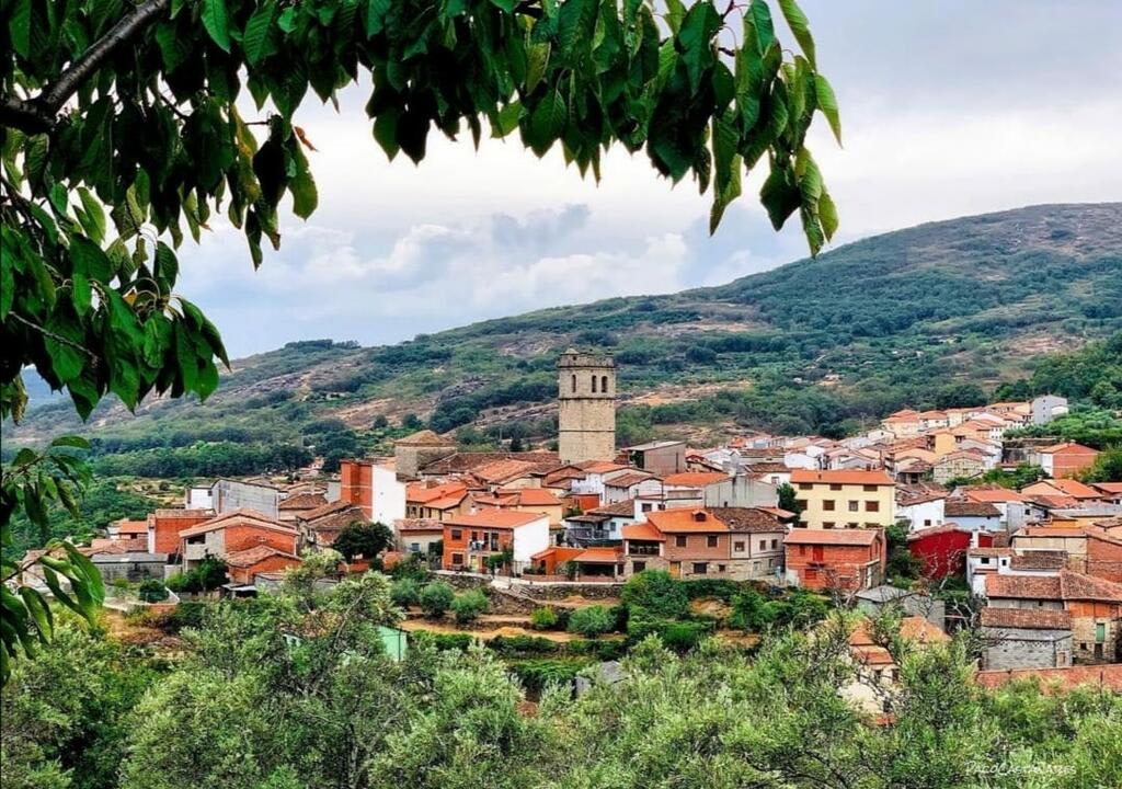 voluntariado en España