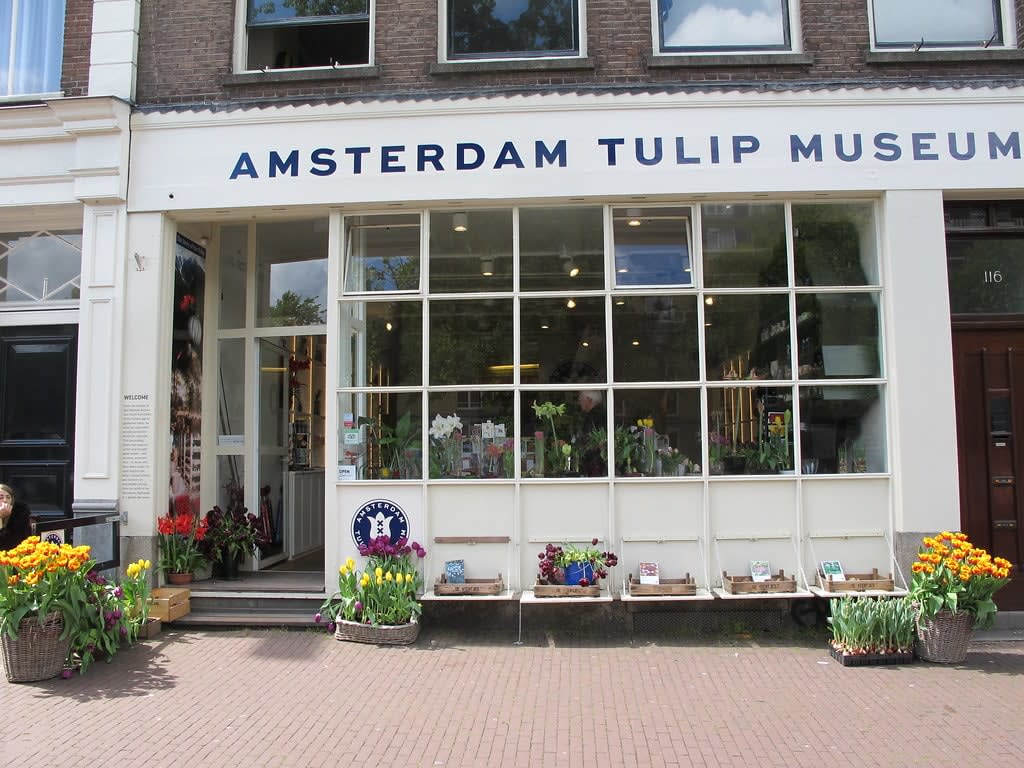 Tulip Museum, Amsterdam