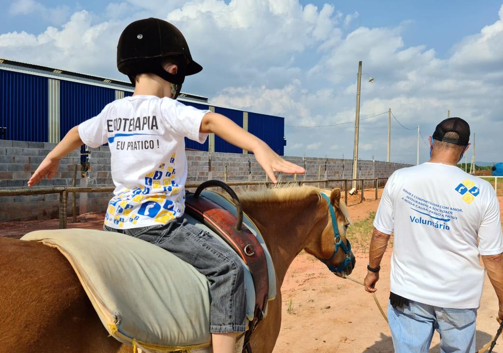 Programas de Voluntariado no Brasil: Instituo Passo a Passo