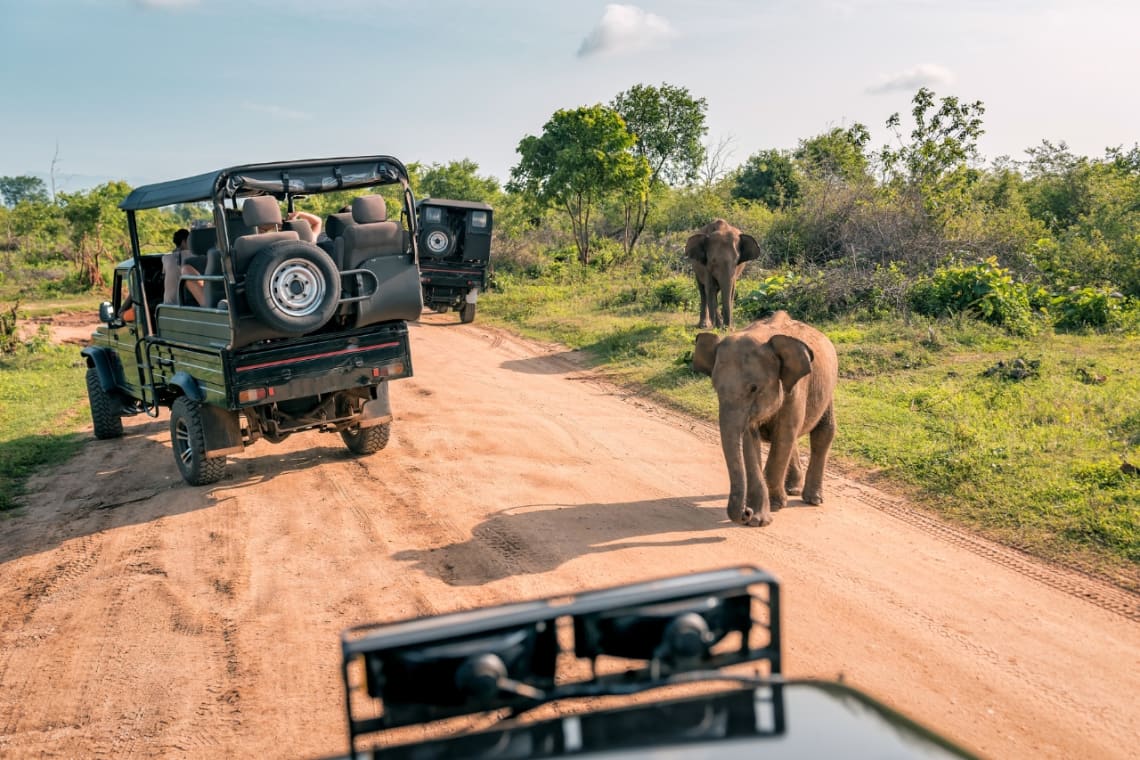 Madre e hijo elefante cruzando entre dos vehículos que están en un safari fotográfico en África