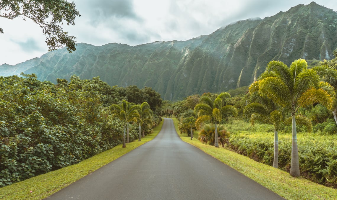 hawaii trip alone