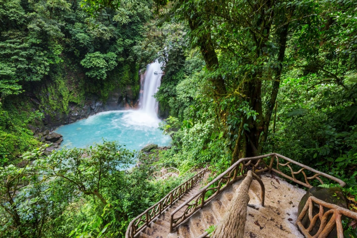 Camino en bajada hacia una cascada en medio de la selva