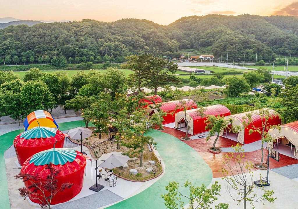 volunteer in south korea