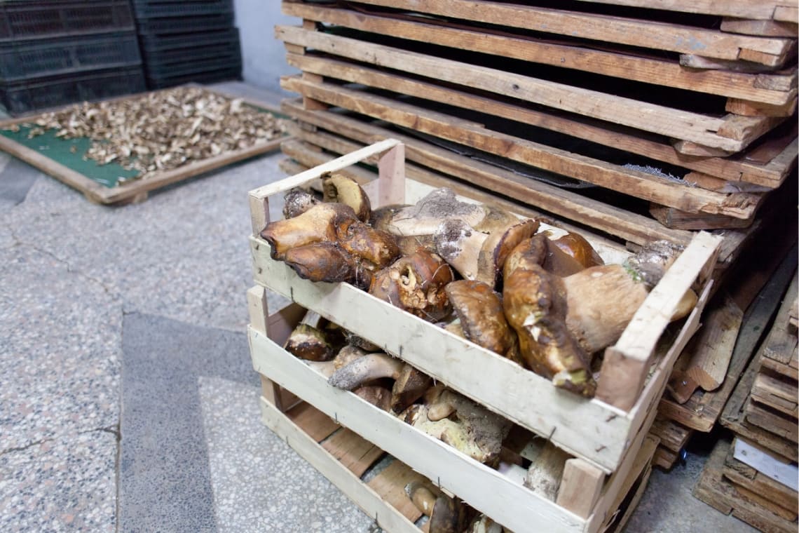 Crates of mushrooms