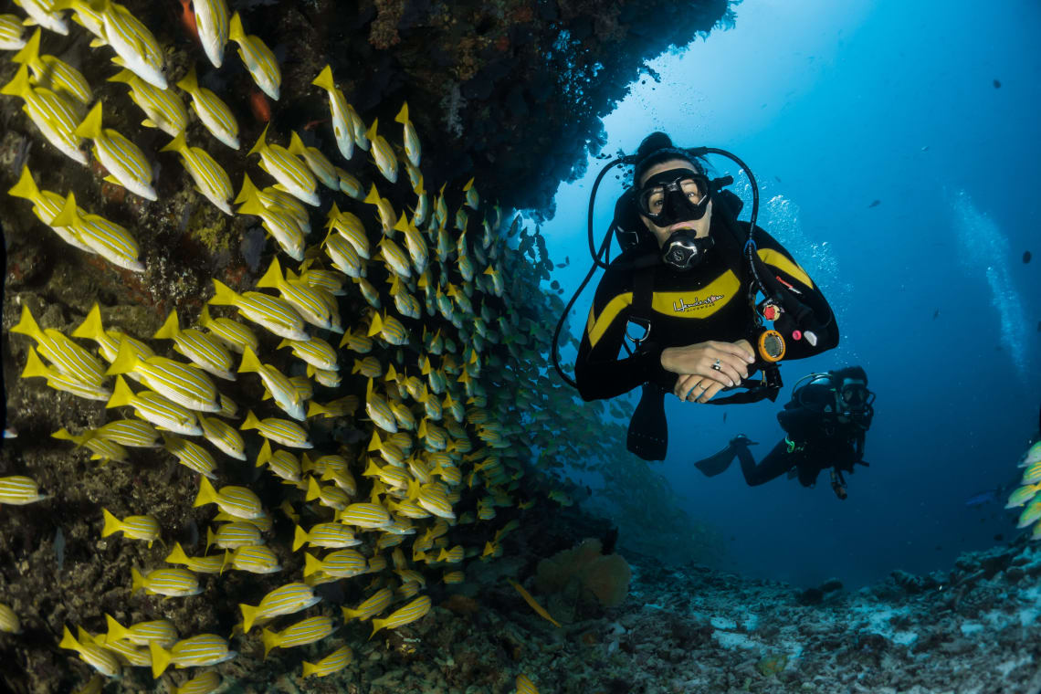 scuba diving can be a job that requires travel