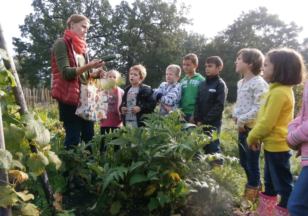 Help In a beautiful garden in rural Austria