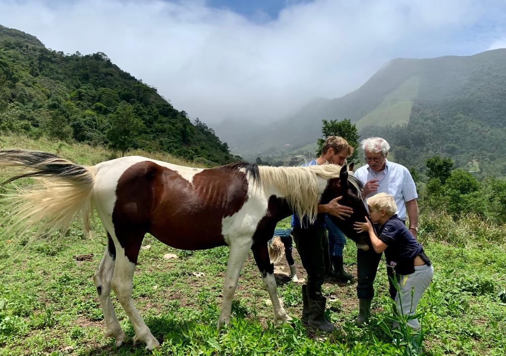 Grandfather, father and son caressing a horse in a natural environment