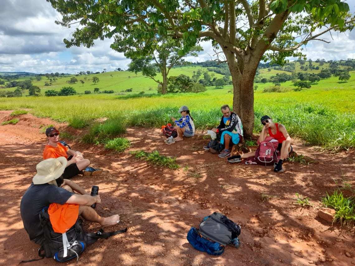 Viajantes em momento de descanso sob a sombra de uma árvore