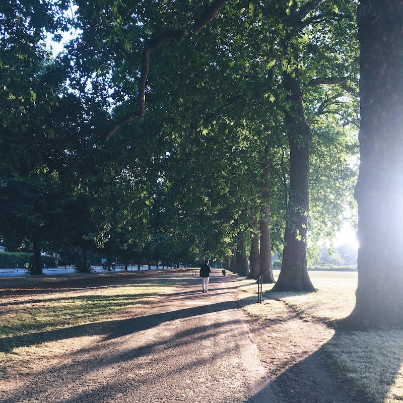 Local park