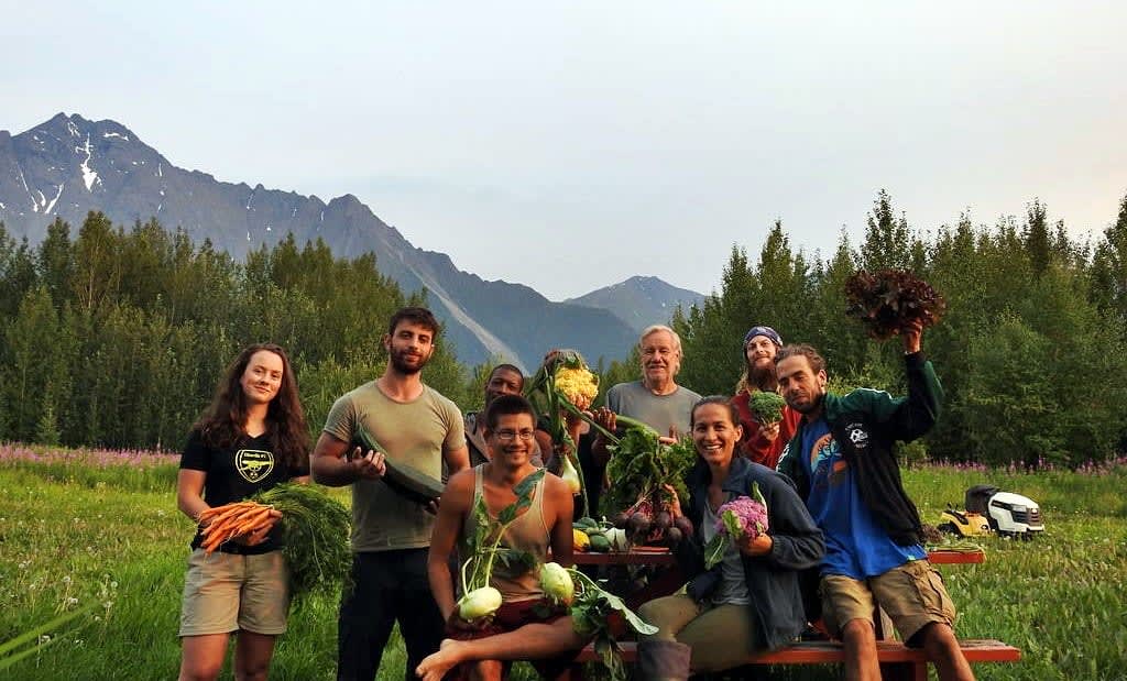 Volunteers and local farmer showing vegatables they picked in a farm in Alaska