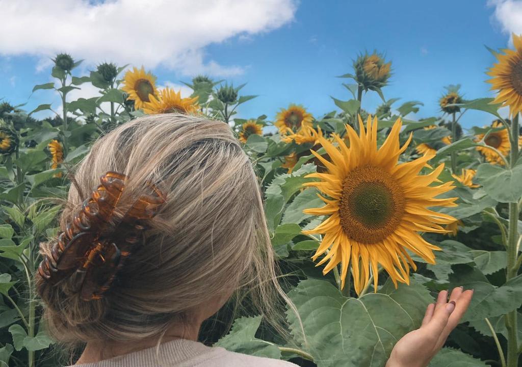 Woman taking care of a plant