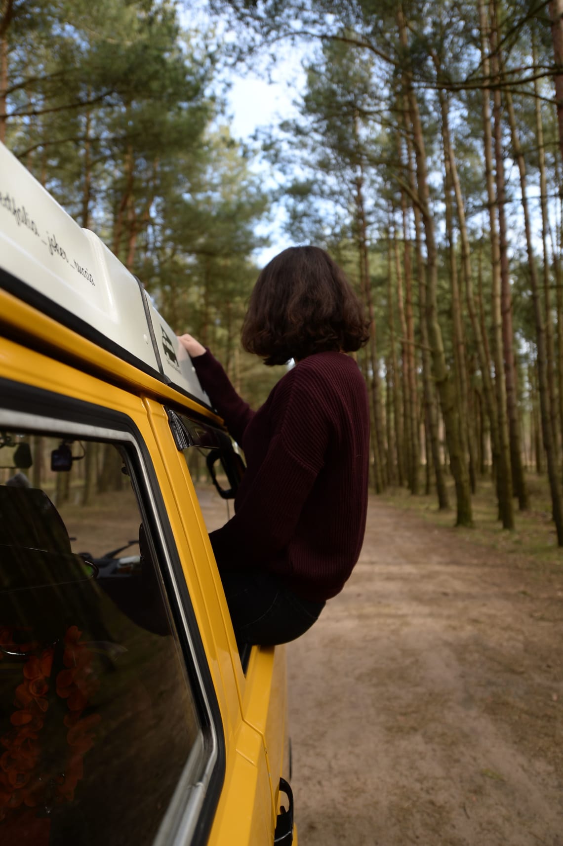 Traveler enjoying a road trip through tall tees