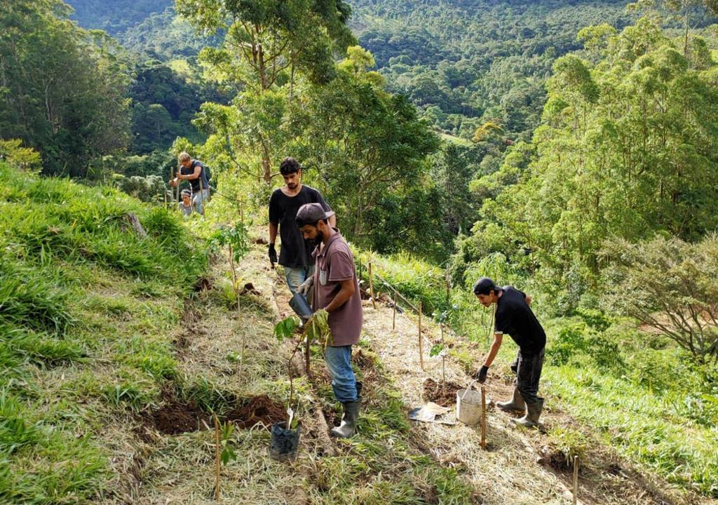 Agroecologia: aprendendo na prática em um voluntariado