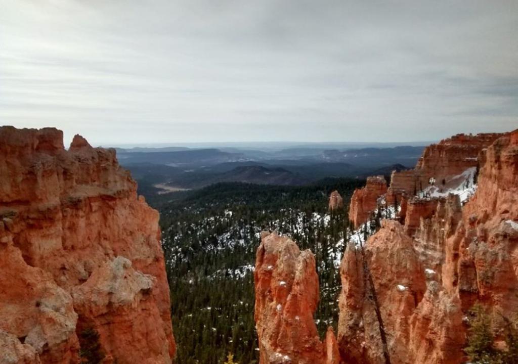  Mejores Anfitriones estados unidos 