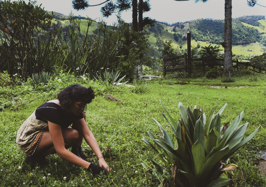 Espaço holístico voluntariado terapias