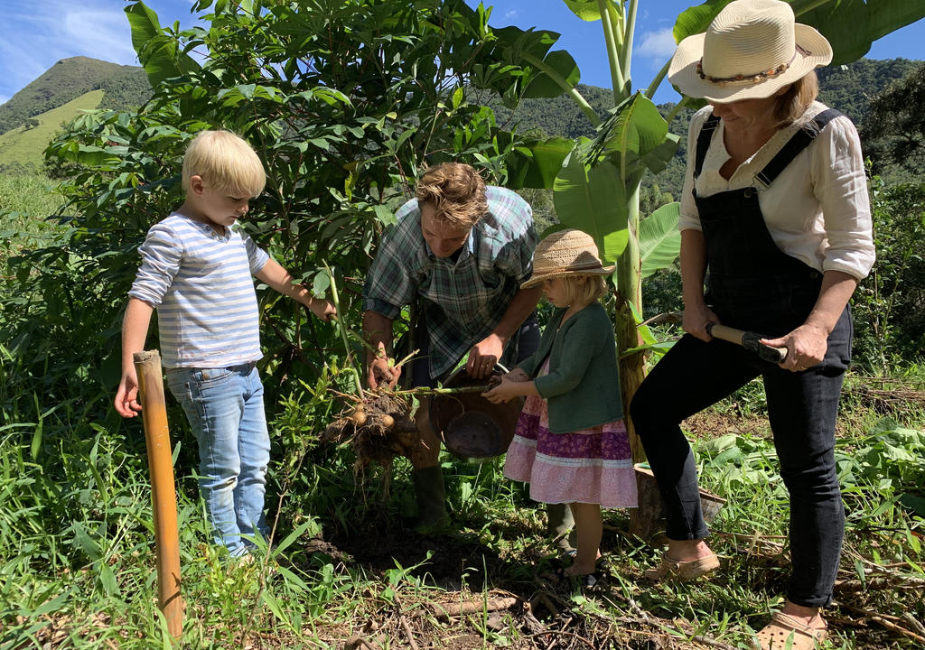 voluntariado agroecológico