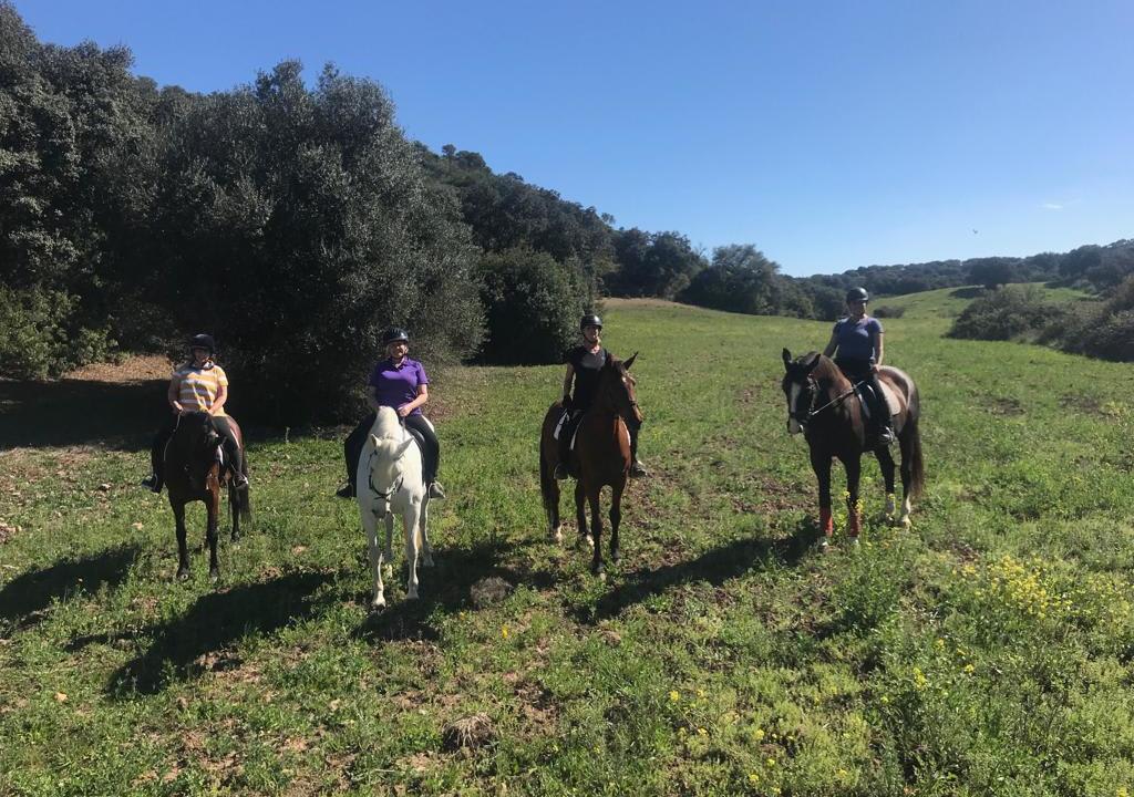 Horseback riding lessons