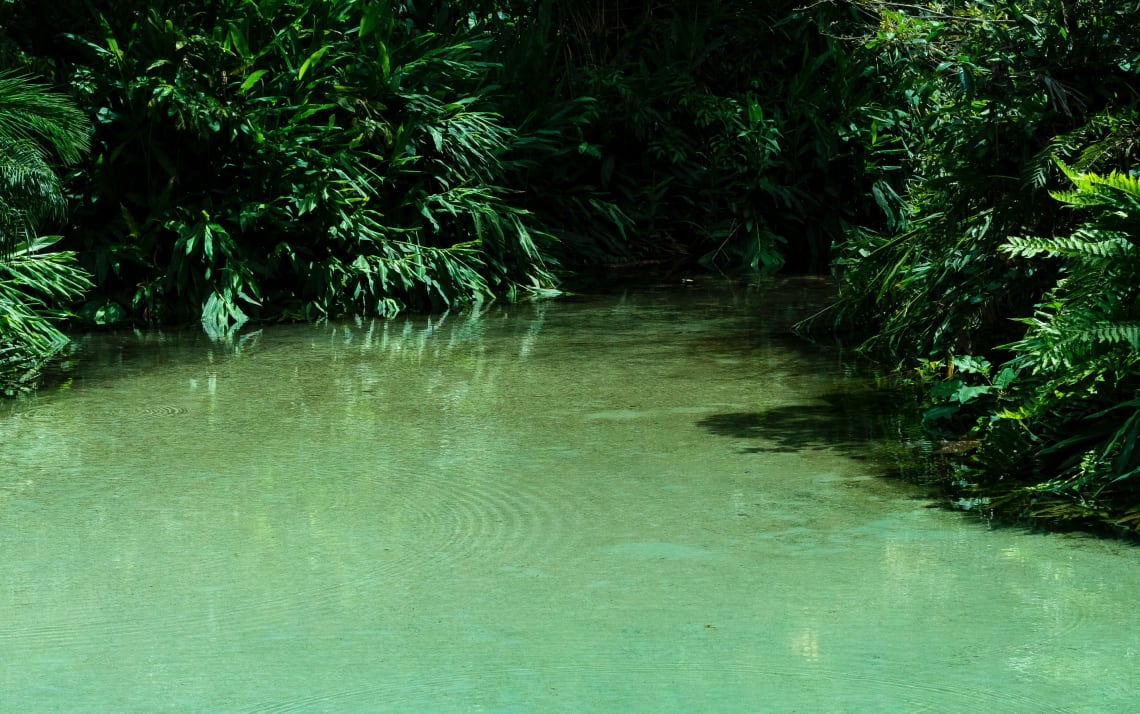 Jalapão, Tocantins: razões para conhecer