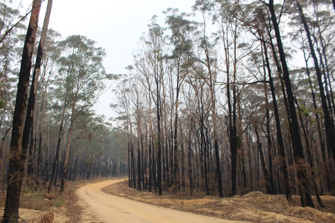 The 2020 bushfires in Australia were devastating. Hopefully this doesn't happen again anytime soon.