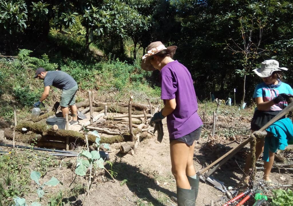  Mejores Anfitriones Portugal 