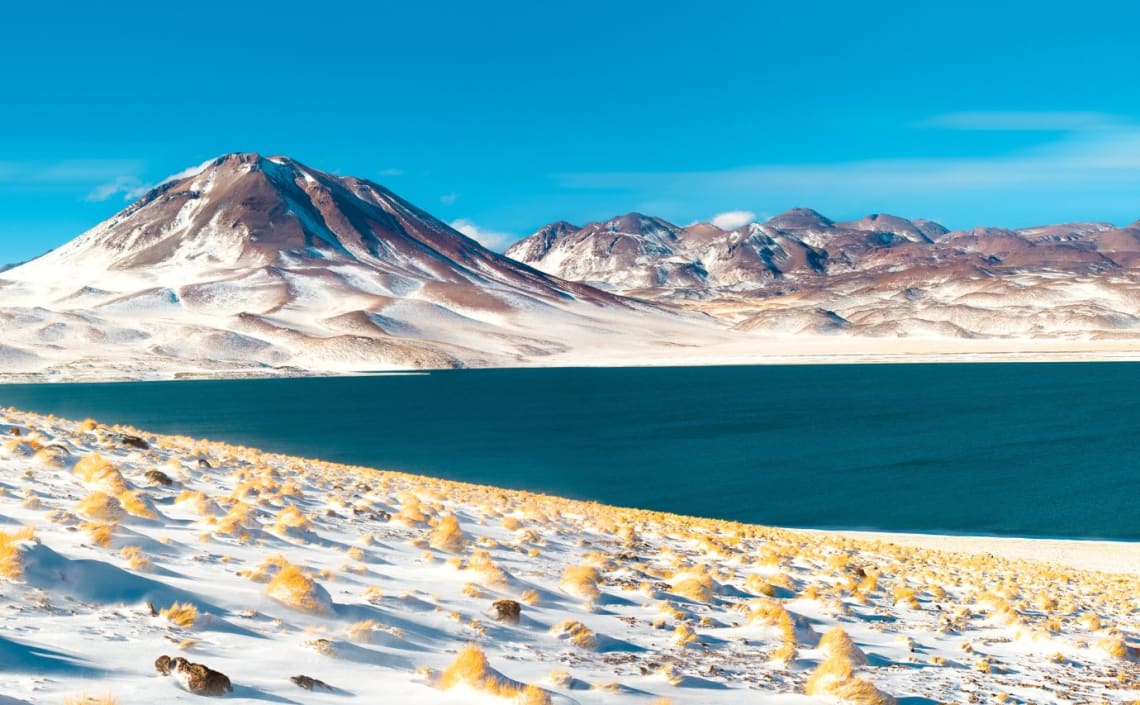 Laguna Miscanti rodeada por montañas nevadas
