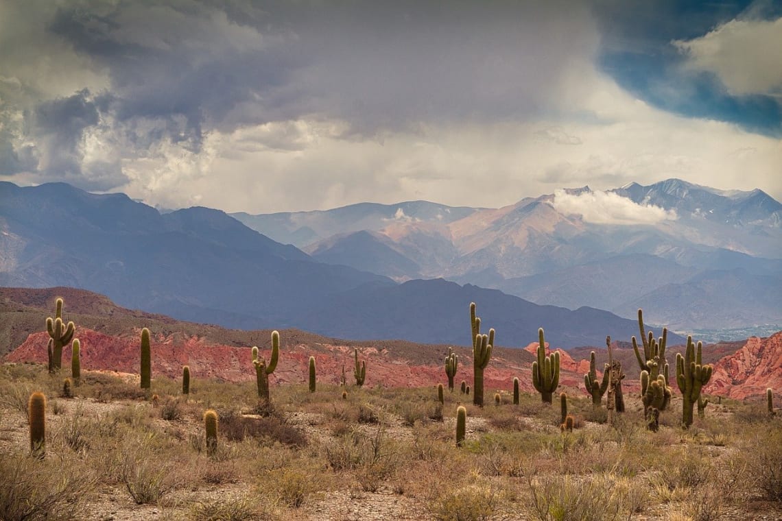 Paisaje de cardones y montañas en el norte argentino