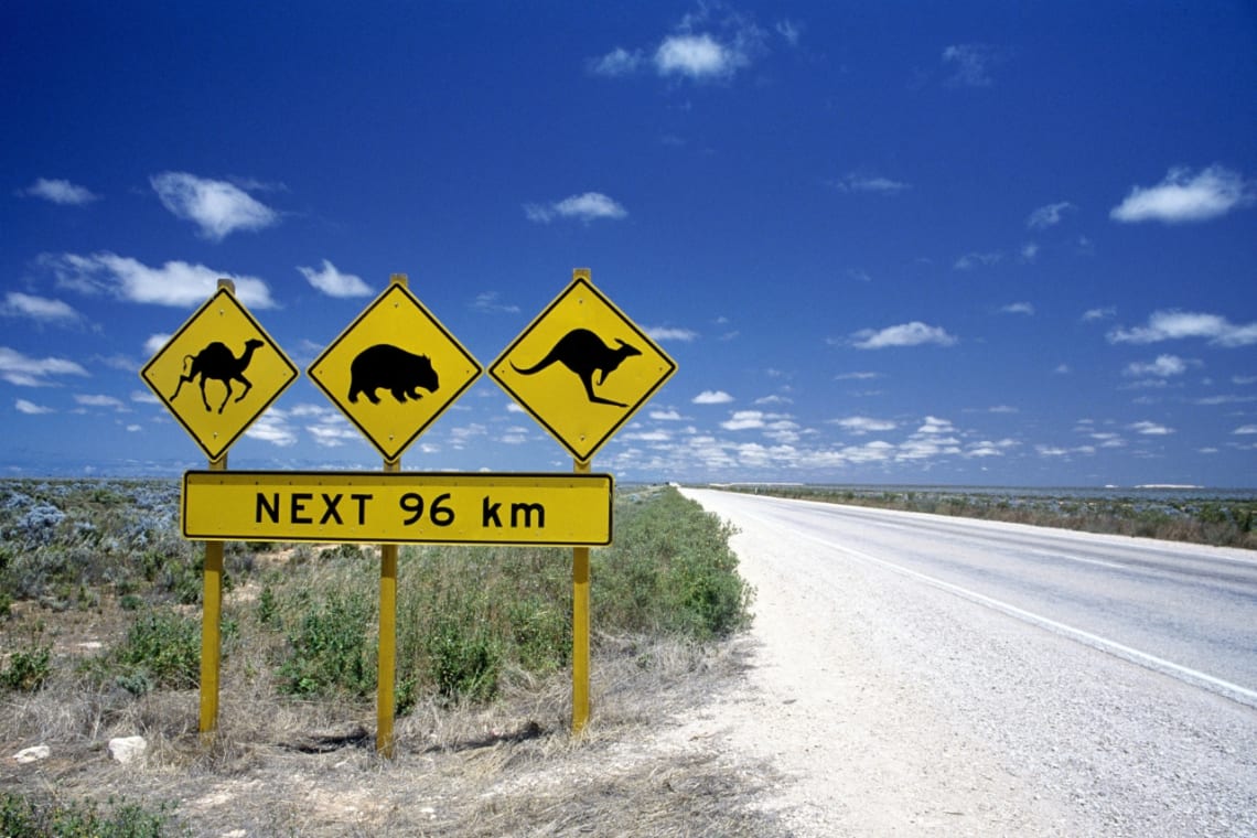 Señal de la ruta indicando cruce de camellos, wombats y canguros en Australia