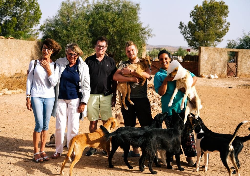 Volunteering to help animals in Morocco