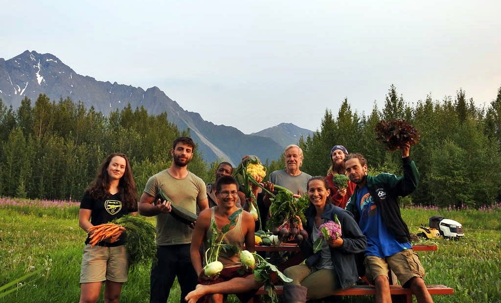 Group of volunteers holding fruits and veges in a farm in Alaska