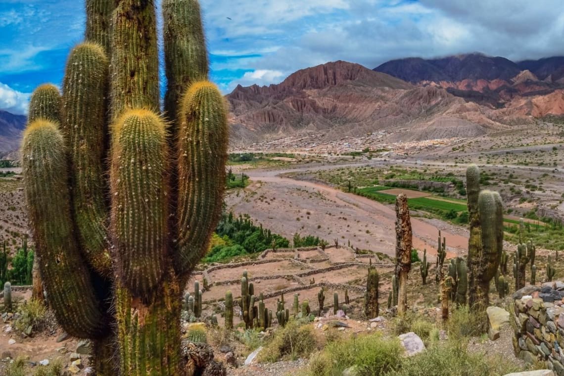 Paisaje de Tilcara con cardones, visto desde Pucará