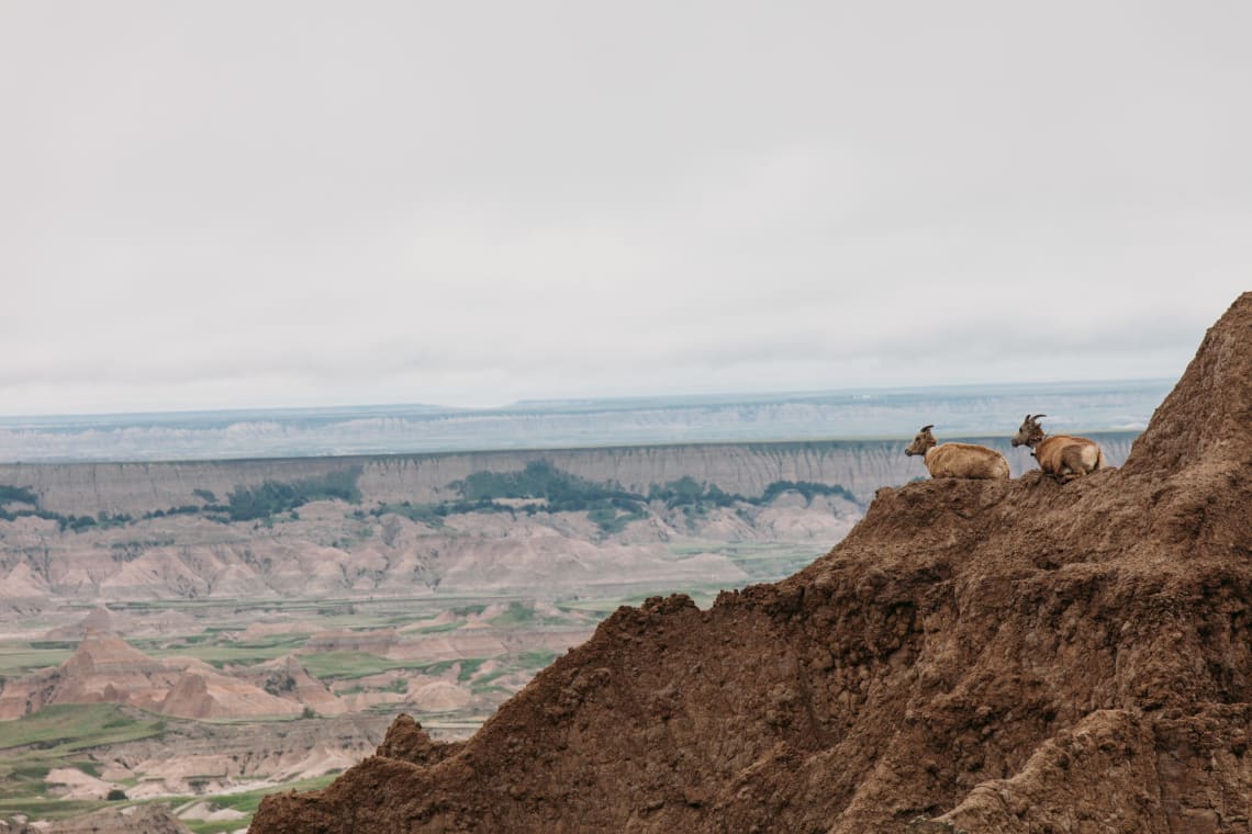 USA travel guide: South Dakota