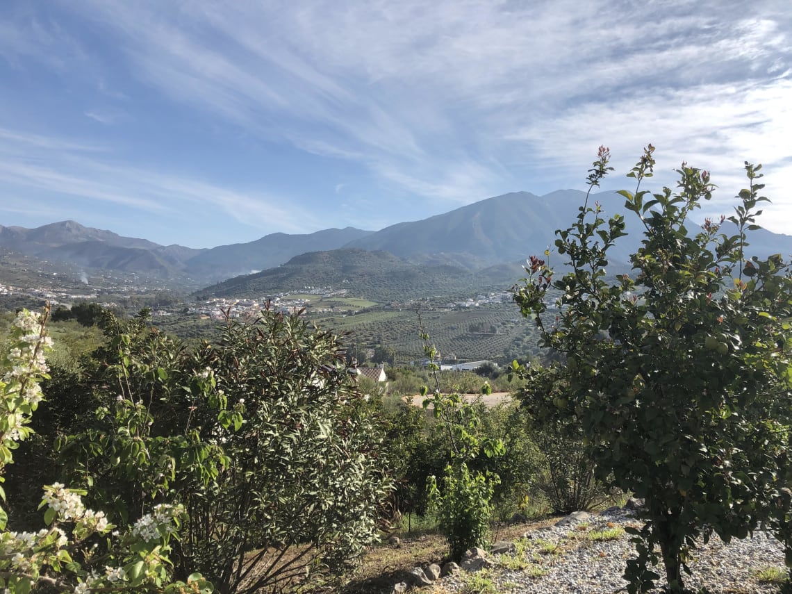 Mi experiencia como voluntario en un albergue rural en las afueras de Málaga - Worldpackers - Espacio cultural conviven