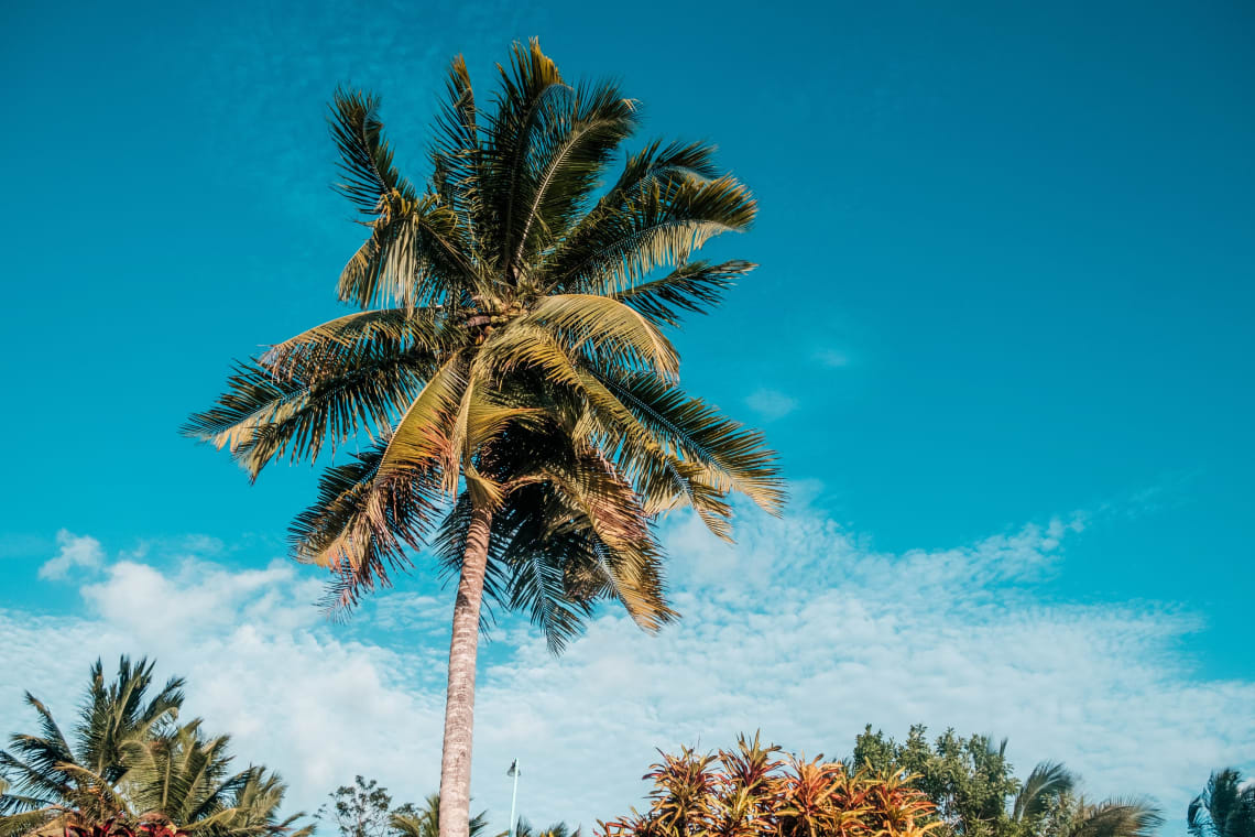 Dangriga, Belize