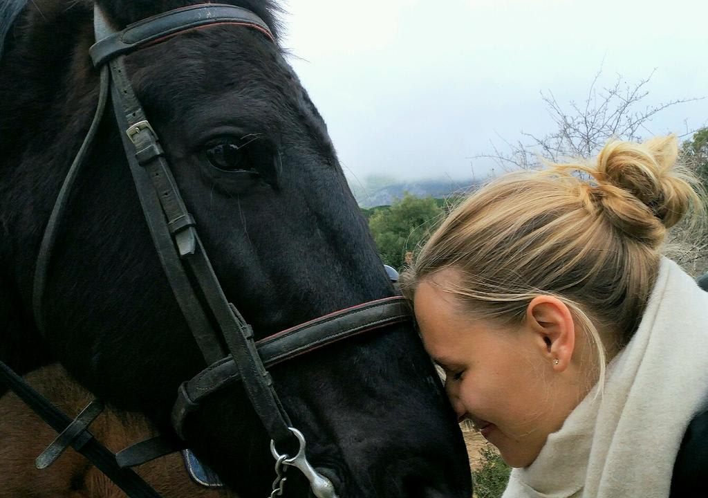 voluntariado en Cádiz