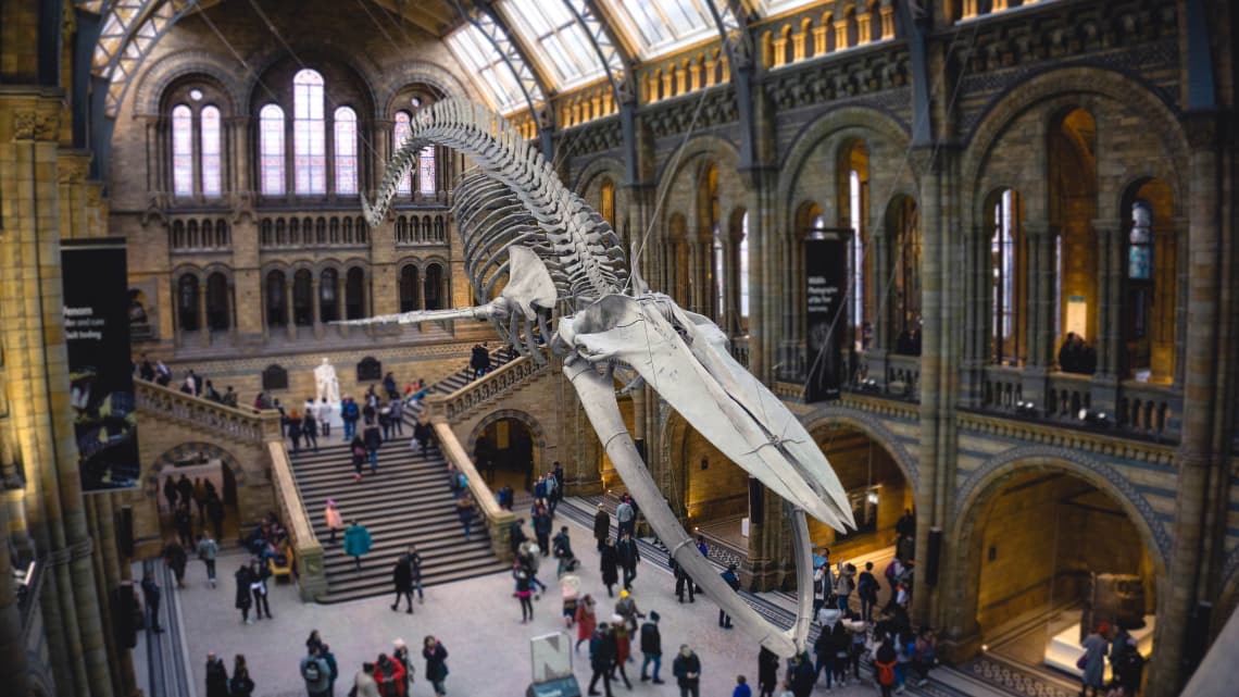 O que fazer em Londres: Natural History Museum 