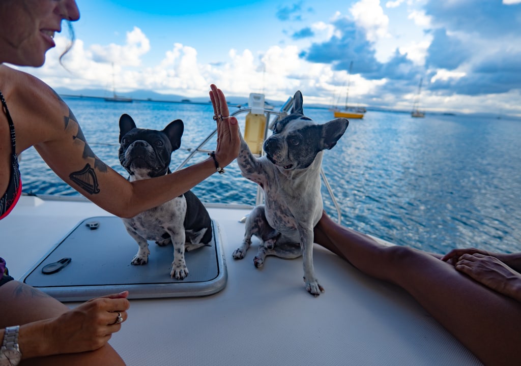 Girl with two dogs sailing in a catamaran, a unique stay experience in Guatemala