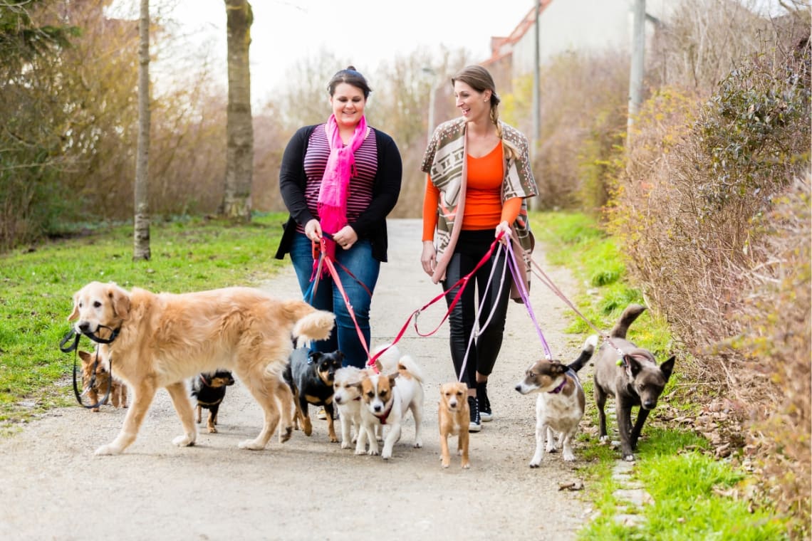 Volunteer and woman of a host family taking their dogs for a walk