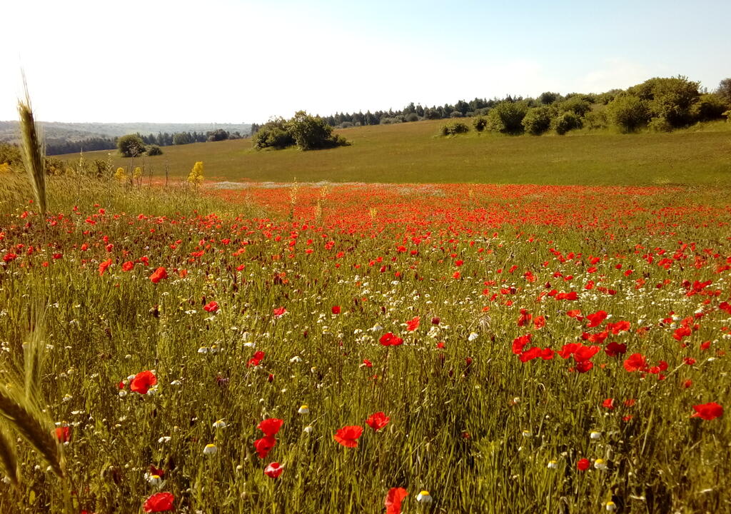 enjoy the contact with nature during your volunteering experience in italy