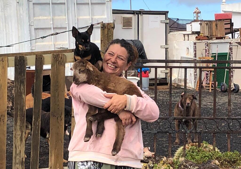 voluntariado en España