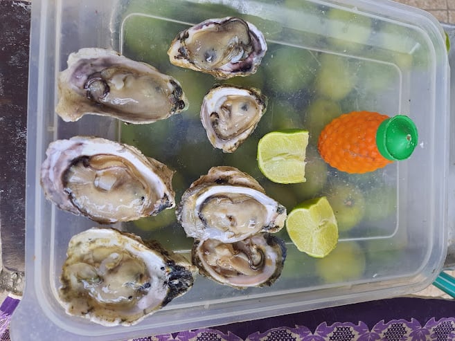 a ostra é outro grande destaque entre as&nbsp;comidas típicas de santa catarina