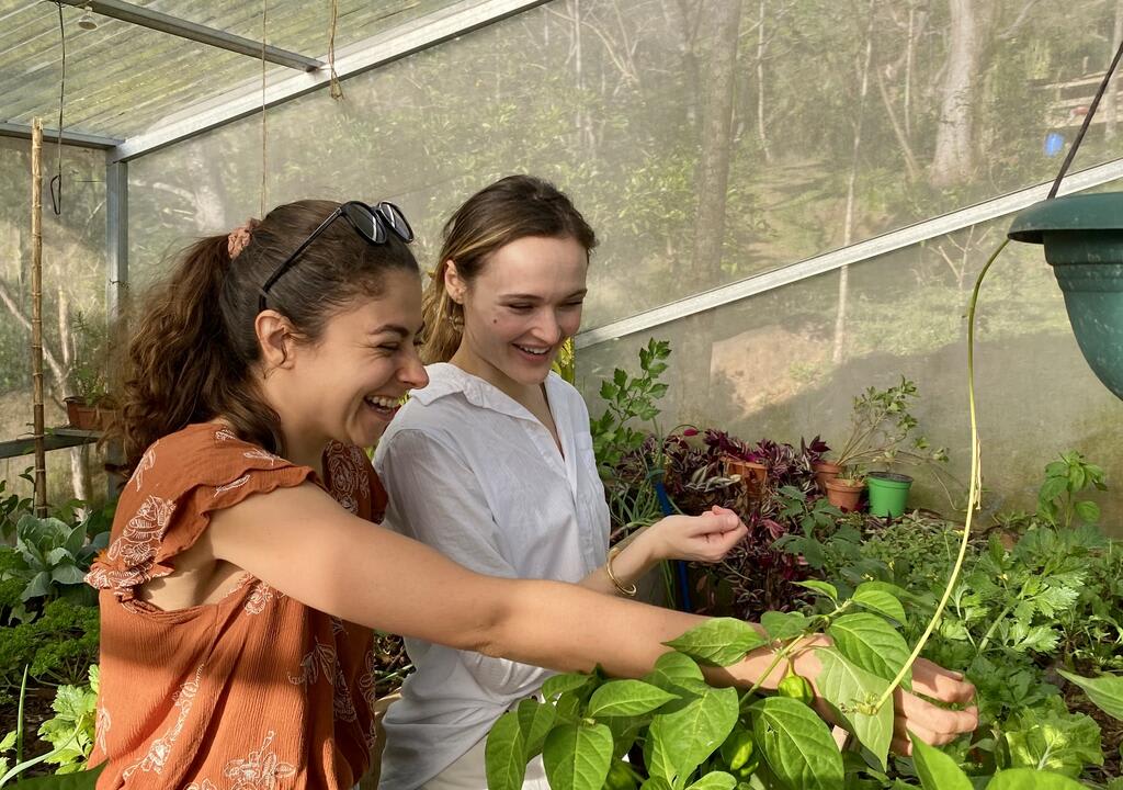volunteering in costa rica