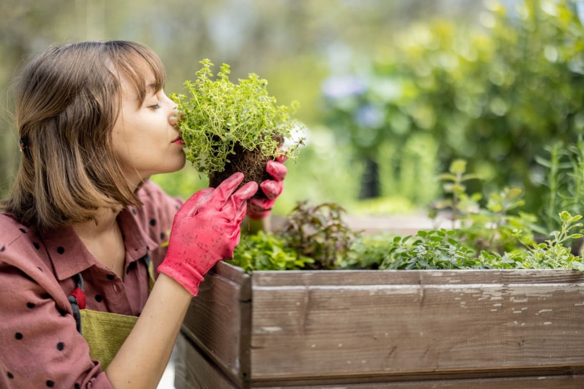 Girl smelling a plant from her organic garden