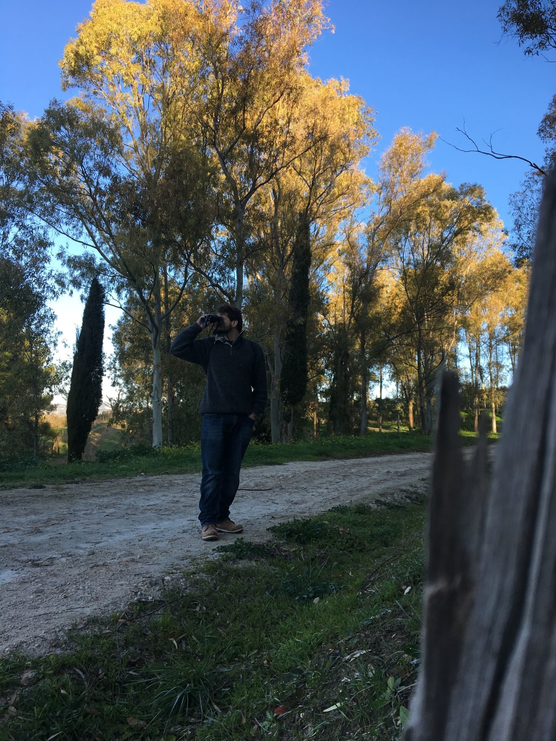 Birdwatching in the Sicilian countryside