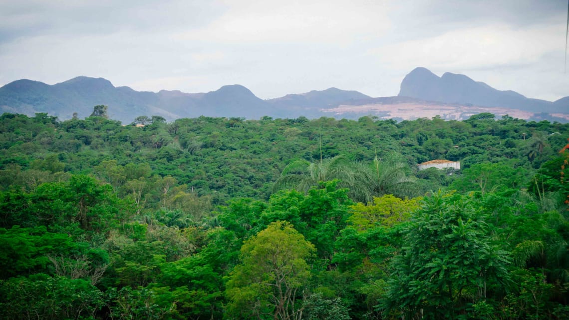 Foto: Juliana Arthuso @virandogringa