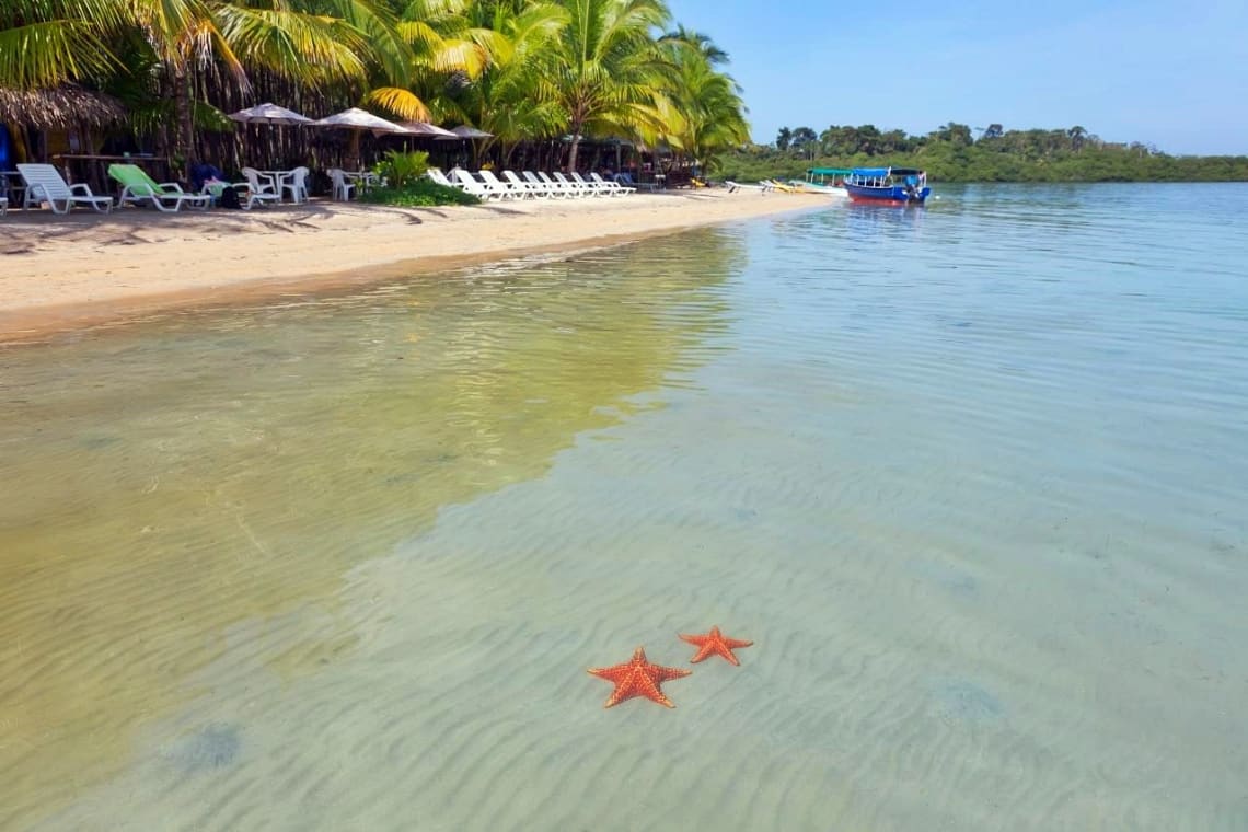 Playa de Bocas del Toro con dos estrellas de mar